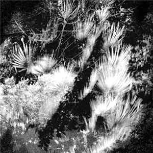 Edanticonf - Per Aspera Ad Astra FLAC album