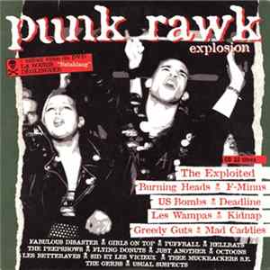 Various - Punk Rawk Explosion #11 FLAC album