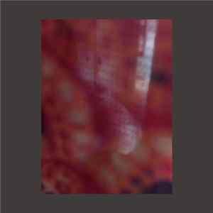 Jean-Patrice Remillard & Racine - Dimanche FLAC album
