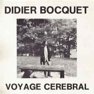 Didier Bocquet - Voyage Cerebral FLAC album