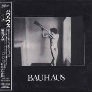 Bauhaus - In The Flat Field FLAC album