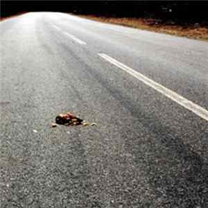 OCP - Rejects FLAC album