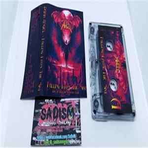 Dark Angel - Falling From The Sky FLAC album
