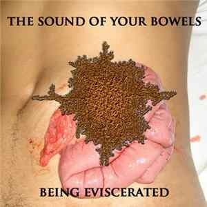 Human Deformity - The Sound Of Your Bowels Being Eviscerated FLAC album
