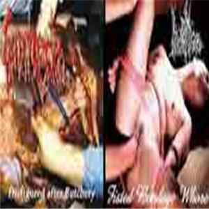 Gonorrhoeaction / Anal Whore - Disfigured After Butchery / Fisted Bondage Whore FLAC album