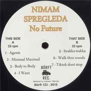 Nimam Spregleda - No Future FLAC album