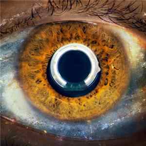 I Cani - Aurora FLAC album