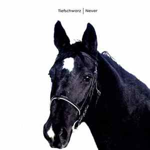 Tiefschwarz - Never FLAC album