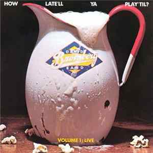 David Bromberg Band - How Late'll Ya Play 'Til Vol. 1 : Live FLAC album