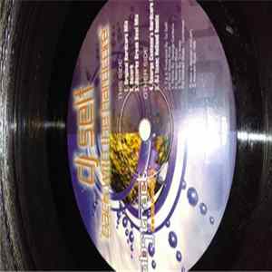 DJ Self - Back With The Hardcore FLAC album