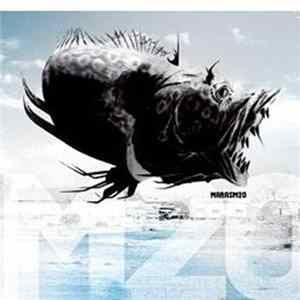Various - Marasm 20 FLAC album