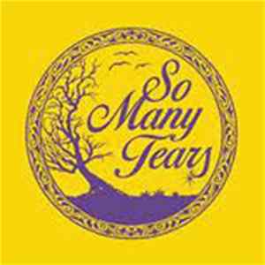 So Many Tears - (Don't Let Go Of Your) Precious / Lazy Midnight Hour FLAC album