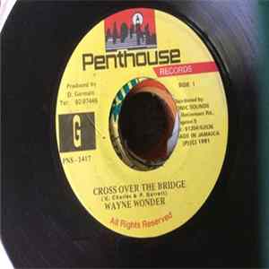 Wayne Wonder - Cross Over The Bridge FLAC album