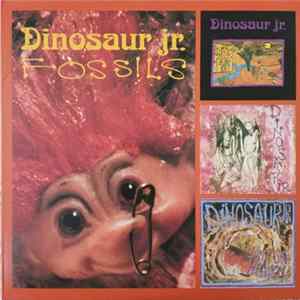 Dinosaur Jr. - Fossils FLAC album