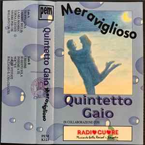 Quintetto Gaio - Meraviglioso FLAC album