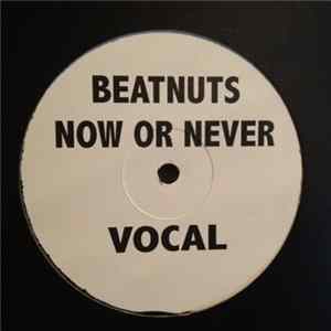 The Beatnuts - Now Or Never FLAC album