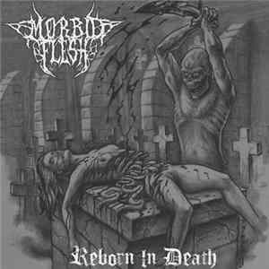 Morbid Flesh - Reborn In Death FLAC album
