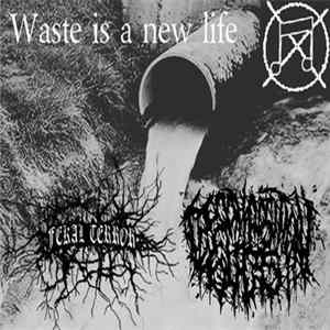 FEKAL TERROR / Decomposition Guts - Waste Is A New Life FLAC album