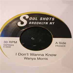 Wanya Morris, Black Ice - I Don't Wanna Know / Blind Over You FLAC album