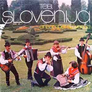 Ansambel Slovenija - Tebi, Slovenija FLAC album