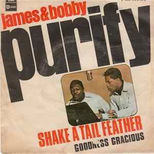 James & Bobby Purify - Shake A Tail Feather / Goodness Gracious FLAC album