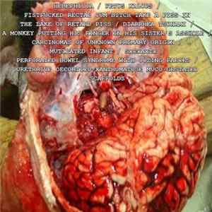 Hebephilia / Fetus Kalops / FxRxCxBxTxAxPxIxTxLxOxRxPx / Diarrhea Tsunami / AxMxPxHxFxIxHxSxAx / Carcinomas Of Unknown Primary Origin / Mutilated Infant / SxCxAxTx / Perforated Bowel Syndrome With Oozing Faeces / UxDxXxMxGxSx - Split FLAC album