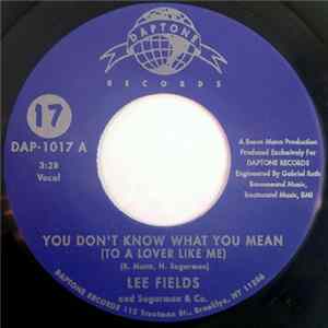 Lee Fields And Sugarman & Co. - You Don't Know What You Mean FLAC album