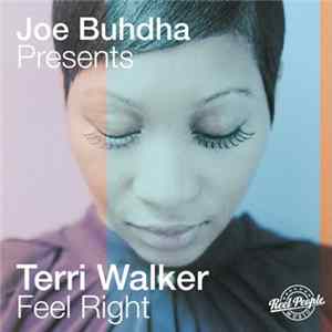 Joe Buhdha Presents Terri Walker - Feel Right FLAC album