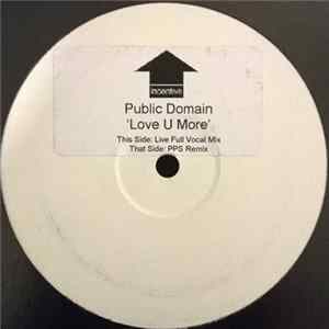 Public Domain - Love U More FLAC album