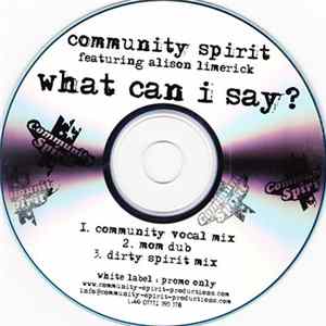 Community Spirit Featuring Alison Limerick - What Can I Say? FLAC album