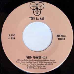 Tony Lamar - Wild Flower / Since I Met You Baby FLAC album