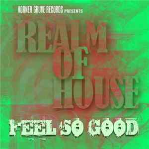 Realm Of House - Feel So Good FLAC album