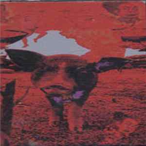 Various - Pre Pol Pot Pop From Kampuchea Vol 2 FLAC album