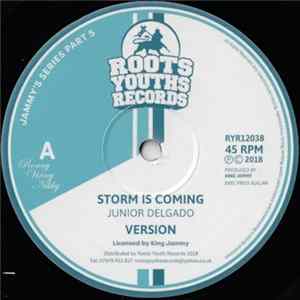 Junior Delgado / Michael Buckley - Storm Is Coming / Righteous One FLAC album