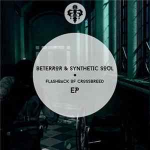 Beterror & Synthetic Soul - Flashback Of Crossbreed EP FLAC album