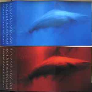 James Plotkin & Tim Wyskida - 8 Improvisations FLAC album
