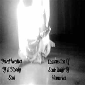 Dried Needles Of A Bloody Soul - Combustion Of Soul: Knife Of Memories FLAC album