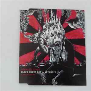 Okkervil River - Black Sheep Boy & Appendix FLAC album