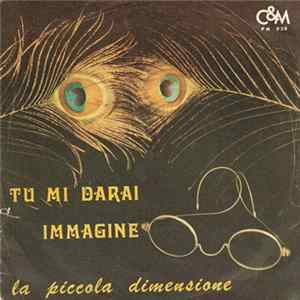 La Piccola Dimensione - Tu Mi Darai / Immagine FLAC album