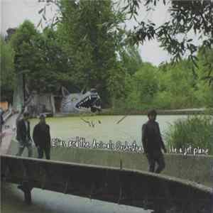 Elias And The Animals Orchestra - Like A Jet Plane FLAC album