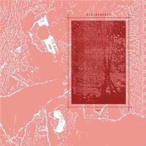 Disinterest - Repair FLAC album