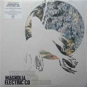 Magnolia Electric Co - What Comes After The Blues FLAC album