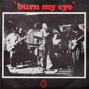 Radio Birdman - Burn My Eye FLAC album