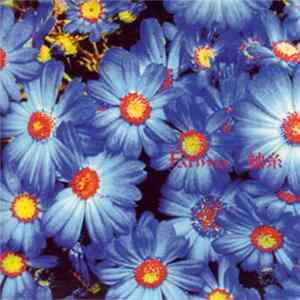 Fatima - 紬糸 FLAC album