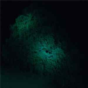 Coppice Halifax - Mastodon Dub FLAC album