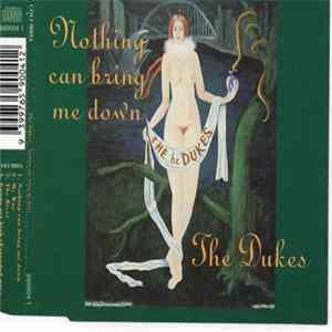 The Dukes - Nothing Can Bring Me Down FLAC album