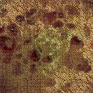 Lung Sewage - Bathed In Filth FLAC album