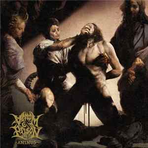 Venom Prison - Animus FLAC album
