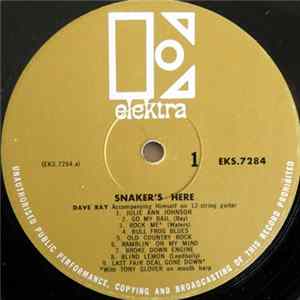 Dave Ray - Snaker's Here FLAC album