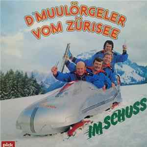 D'Muulörgeler Vom Zürisee - Im Schuss FLAC album
